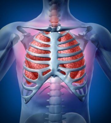 Remedios naturales para limpiar los pulmones: qué sirve, qué no y cómo hacerlo seguro