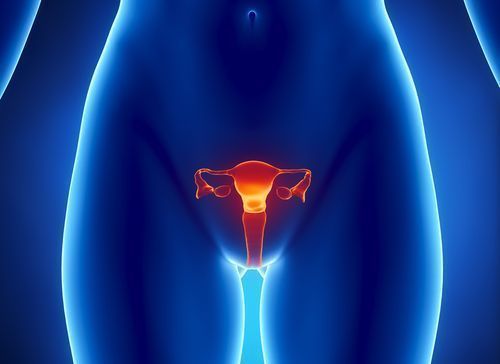 Cúrcuma y el Sistema Reproductor Femenino: Beneficios y Cuidados Naturales
