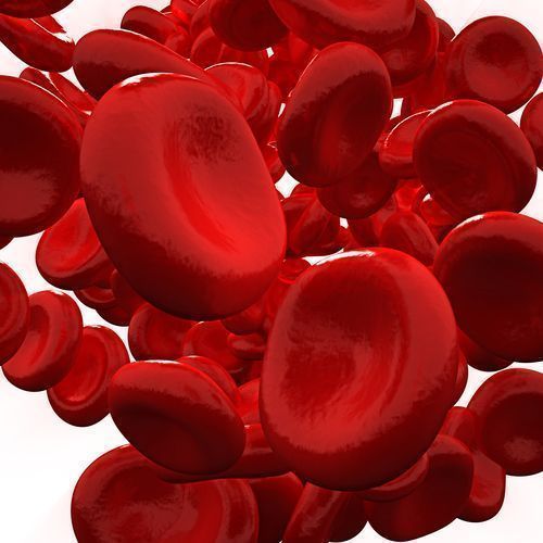¿La cúrcuma sirve para la anemia? Lo importante (y el riesgo real con el hierro)