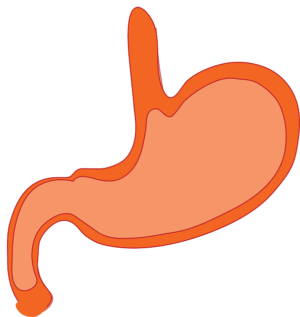 Cúrcuma para Problemas del Aparato Digestivo: Beneficios y Cómo Usarla